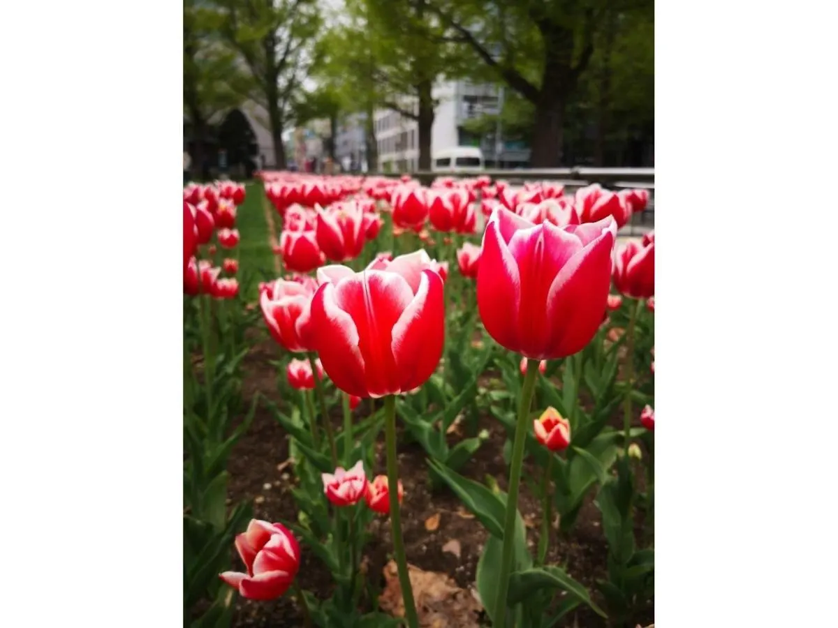 Hotel Tetora Spirit Sapporo - Vacation Stay 59361V 日本