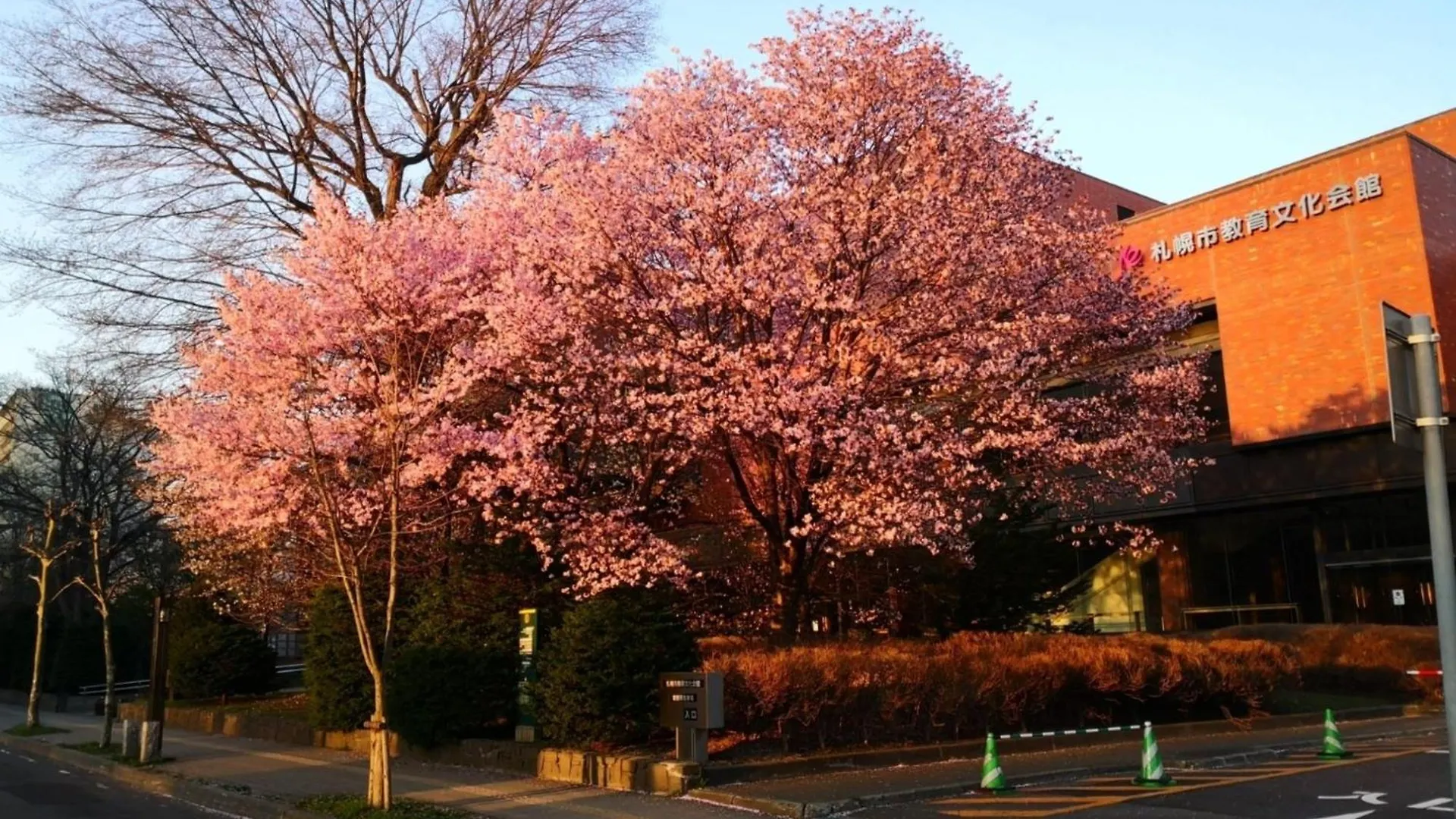 Hotel Tetora Spirit Sapporo - Vacation Stay 59361V 日本